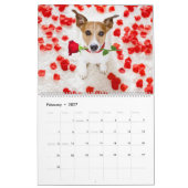 Jack Russell Terrier Kalender (Feb 2027)