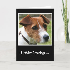Jack Russell Terrier Karte