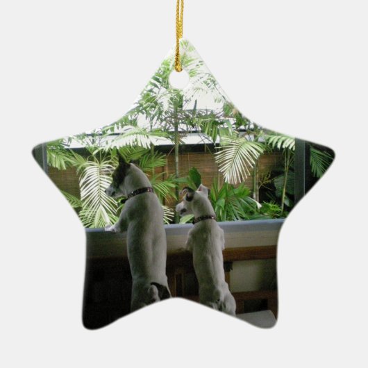 Jack Russell Terrier Keramik Ornament (Vorne)