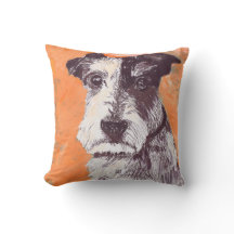 Jack-Russell-Terrier