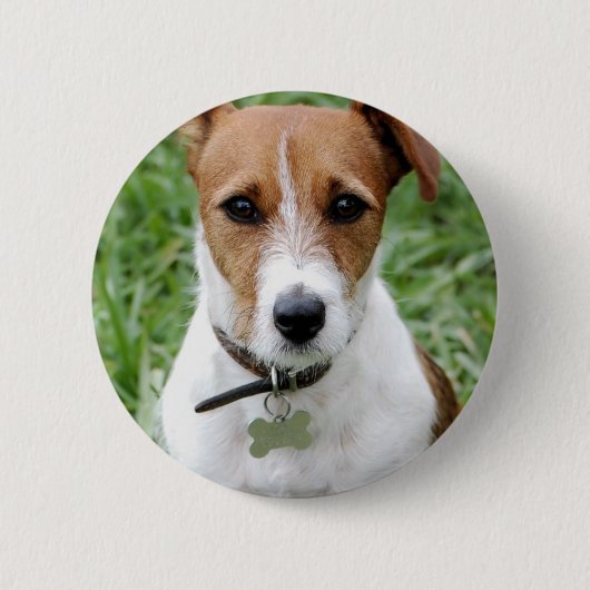 Jack-Russell-Terrier-Knopf Button (Vorderseite)
