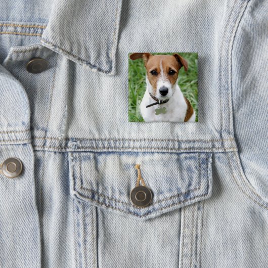 Jack-Russell-Terrier-Knopf Button (Beispiel)