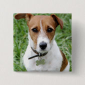 Jack-Russell-Terrier-Knopf Button (Vorderseite)