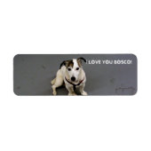 Jack Russell Terrier Label (Vorne)