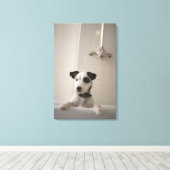 Jack russell Terrier. Leinwanddruck (Insitu (Holzboden))