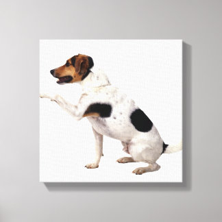 Jack Russell Terrier Lifting Paw Leinwanddruck