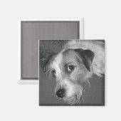 Jack Russell Terrier Magnet (Vorderseite/Rückseite)