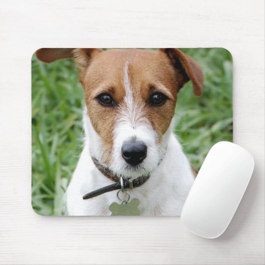 Jack-Russell-Terrier-Mausunterlage Mousepad (Mit Mouse)