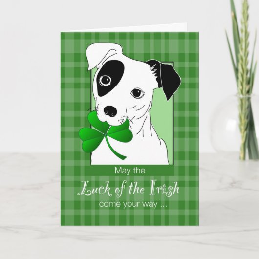 Jack Russell Terrier mit St. Patrick's Day Green Karte (Vorderseite)