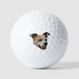 Jack Russell Terrier Mix Golfball