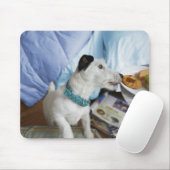 Jack russell Terrier. Mousepad (Mit Mouse)