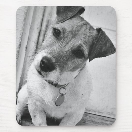 Jack-Russell-Terrier Mousepad (Vorne)