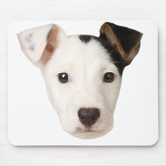 Jack Russell Terrier Mousepad (Vorne)