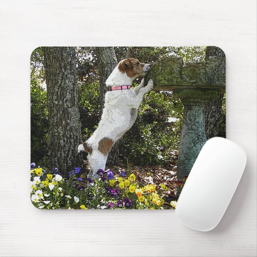 JACK-RUSSELL-TERRIER MOUSEPAD (Mit Mouse)