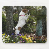 JACK-RUSSELL-TERRIER MOUSEPAD (Vorne)