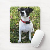 JACK-RUSSELL-TERRIER MOUSEPAD (Mit Mouse)