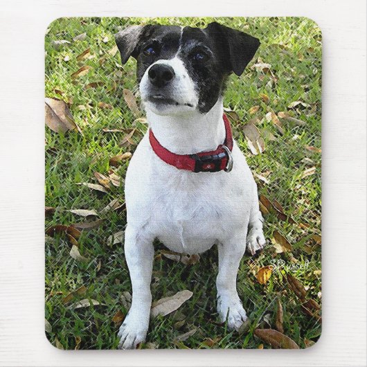 JACK-RUSSELL-TERRIER MOUSEPAD (Vorne)