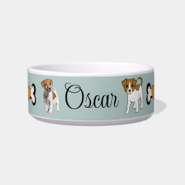 Jack Russell Terrier, Napf