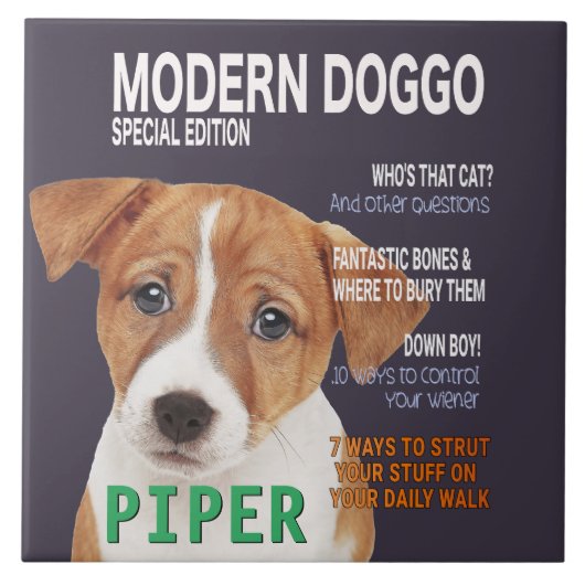 Jack Russell Terrier Parody Magazine Cover Fliese (Vorderseite)