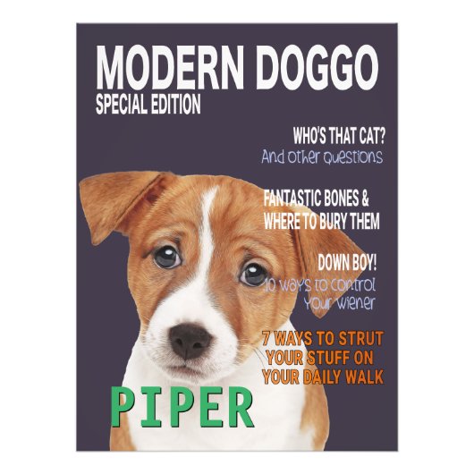 Jack Russell Terrier Parody Magazine Cover Fotodruck (Vorne)