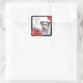 Jack Russell Terrier Poinsettia - Weihnachten Quadratischer Aufkleber (Tasche)