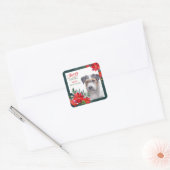 Jack Russell Terrier Poinsettia - Weihnachten Quadratischer Aufkleber (Umschlag)