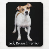 Jack Russell Terrier Portrait Mousepad (Vorne)