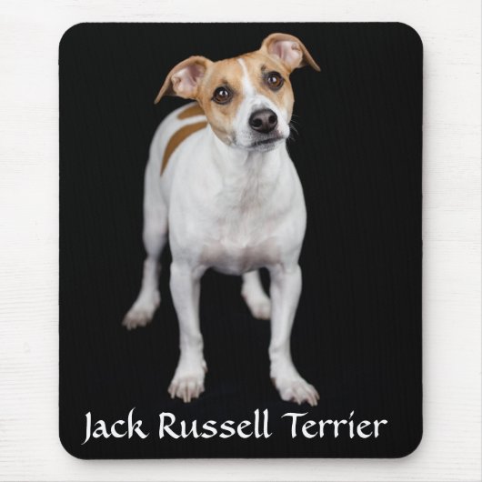 Jack Russell Terrier Portrait Mousepad (Vorne)