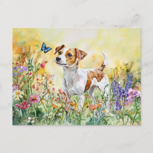 Jack Russell Terrier - Postcard Postkarte (Vorderseite)