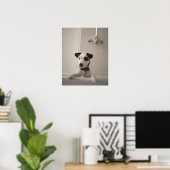 Jack russell Terrier. Poster (Heimbüro)
