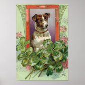Jack Russell Terrier Poster (Vorne)