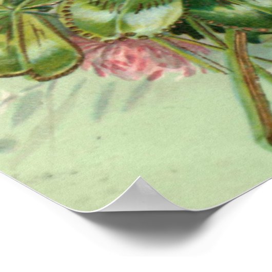 Jack Russell Terrier Poster (Ecke)