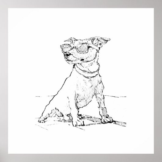 Jack Russell Terrier  Poster (Vorne)