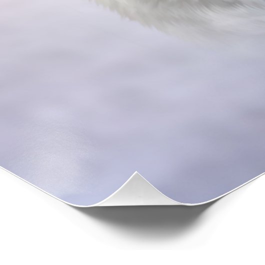 Jack Russell Terrier Poster (Ecke)