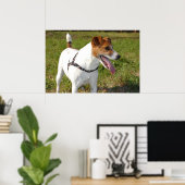 Jack Russell Terrier Poster (Heimbüro)
