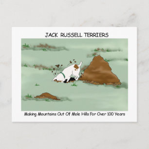Jack Russell Terrier Postkarte