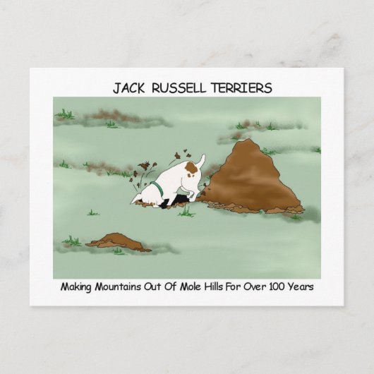 Jack Russell Terrier Postkarte (Vorderseite)