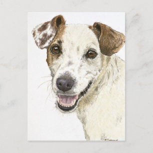 Jack Russell Terrier Postkarte