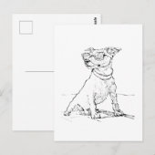 Jack Russell Terrier  Postkarte (Vorne/Hinten)
