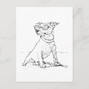 Jack Russell Terrier Postkarte
