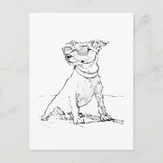 Jack Russell Terrier  Postkarte (Vorderseite)