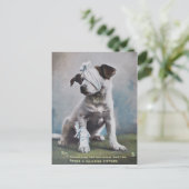 Jack Russell Terrier Postkarte (Stehend Vorderseite)