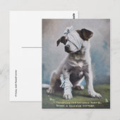 Jack Russell Terrier Postkarte (Vorne/Hinten)
