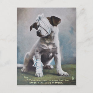Jack Russell Terrier Postkarte