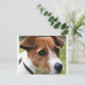 Jack Russell Terrier Postkarte (Stehend Vorderseite)