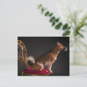 Jack Russell Terrier Postkarte (Stehend Vorderseite)