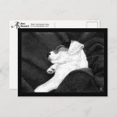 Jack Russell Terrier Pup Postcard - "Bliss" Postkarte (Vorne/Hinten)