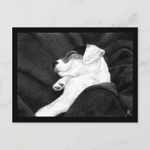 Jack Russell Terrier Pup Postcard - "Bliss" Postkarte