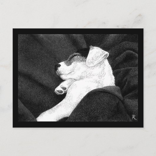Jack Russell Terrier Pup Postcard - "Bliss" Postkarte (Vorderseite)