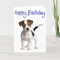 Jack Russell Terrier Puppy Dog Geburtstagskarte